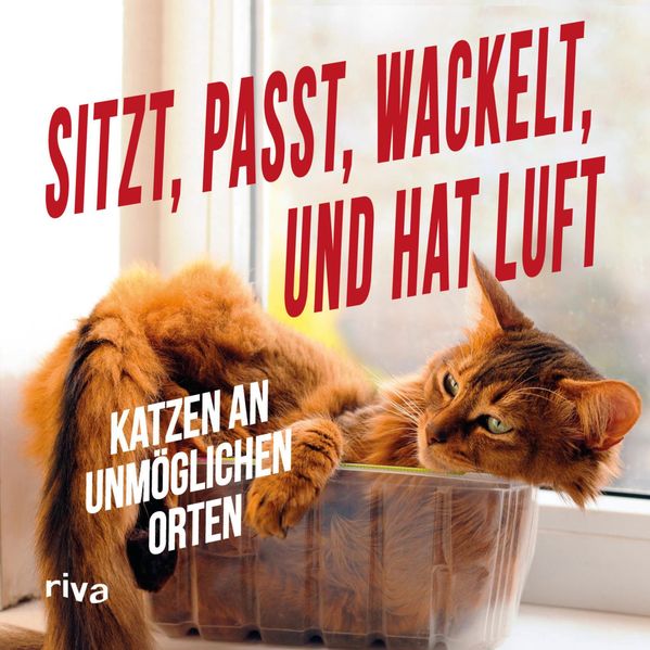 Cover von Sitzt, passt, wackelt und hat Luft