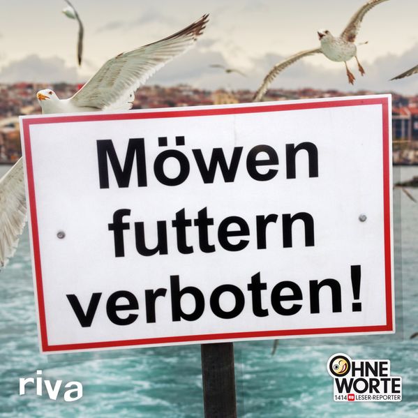 Cover von Möwen futtern verboten