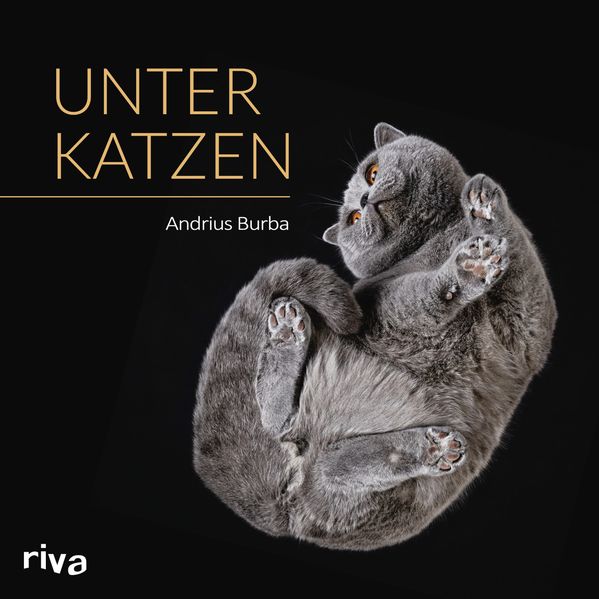 Cover von Unter Katzen