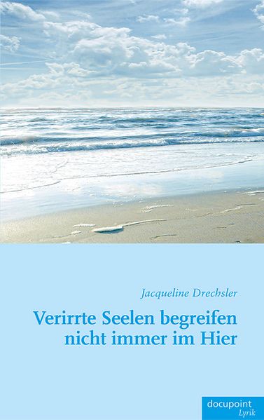 Cover von Verirrte Seelen begreifen nicht immer im Hier