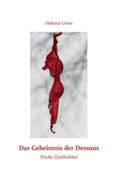 Cover von Das Geheimnis der Dessous