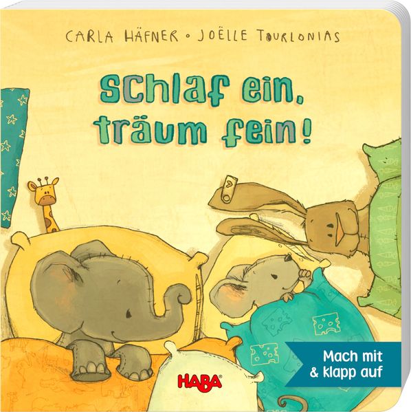 Cover von Schlaf ein, träum fein!