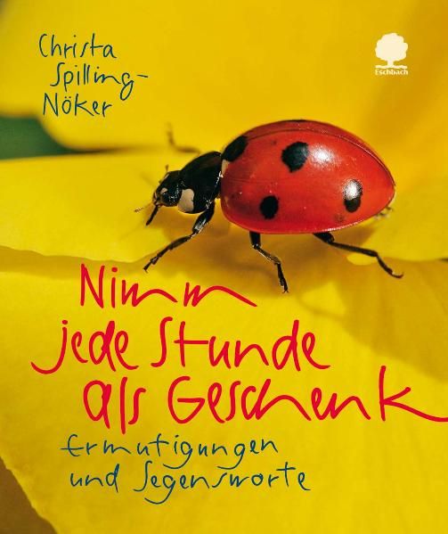 Cover von Nimm jede Stunde als Geschenk