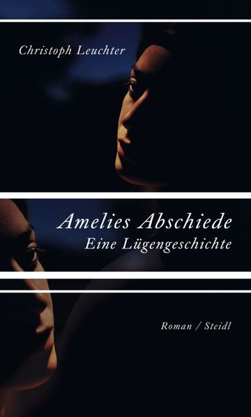 Cover von Amelies Abschiede.