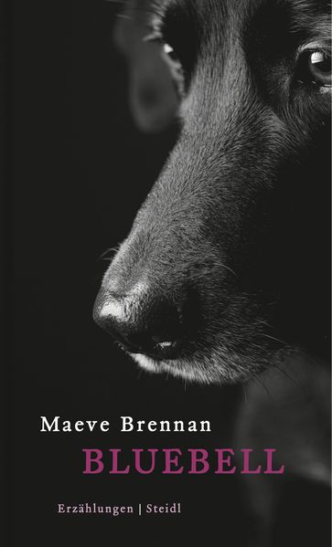 Cover von Bluebell