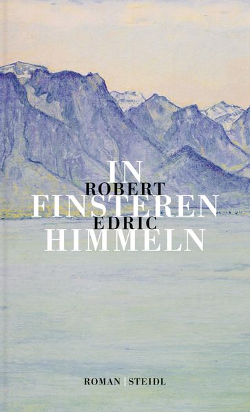 Cover von In finsteren Himmeln