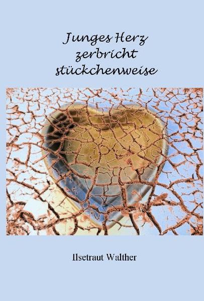 Cover von Junges Herz zerbricht stückchenweise