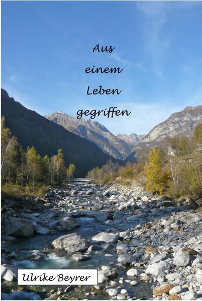 Cover von Aus einem Leben gegriffen