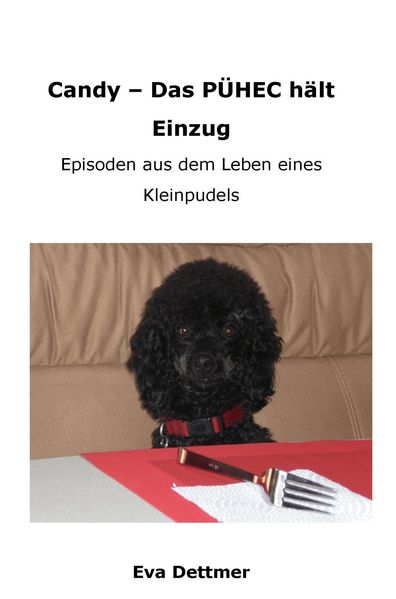 Cover von Candy – Das PÃœHEC hält Einzug