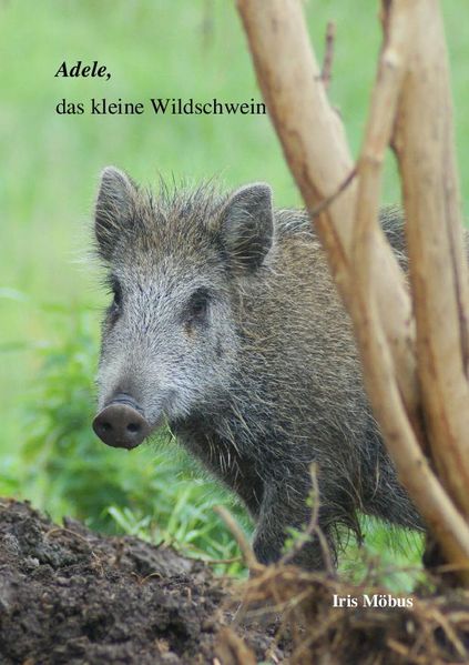 Cover von Adele, das kleine Wildschwein