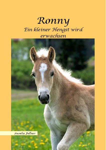 Cover von Ronny – Ein kleiner Hengst wird erwachsen