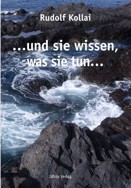 Cover von …und sie wissen, was sie tun…