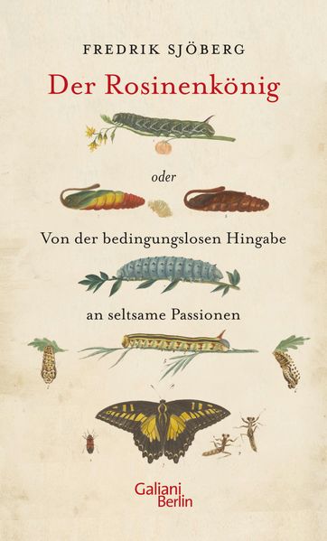 Cover von Der Rosinenkönig