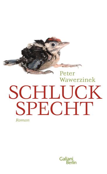 Cover von Schluckspecht