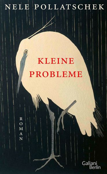 Cover von Kleine Probleme