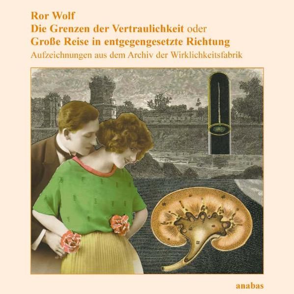 Cover von Die Grenzen der Vertraulichkeit oder Grosse Reise in entgegengesetzter Richtung