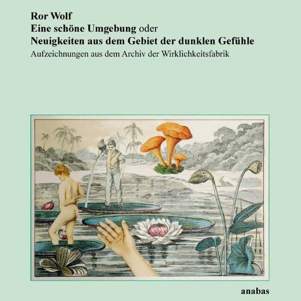 Cover von Eine schöne Umgebung oder Neuigkeiten aus dem Gebiet der dunklen Gefühle