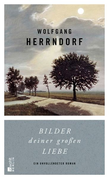 Cover von Bilder deiner großen Liebe