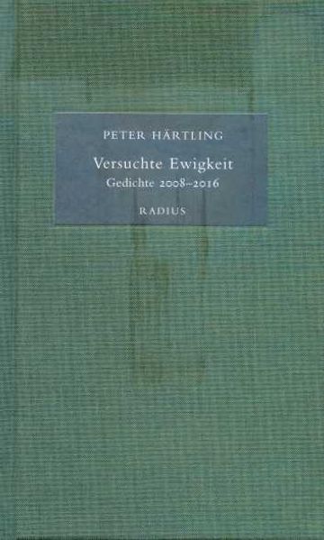 Cover von Versuchte Ewigkeit