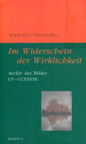 Cover von Im Widerschein der Wirklichkeit