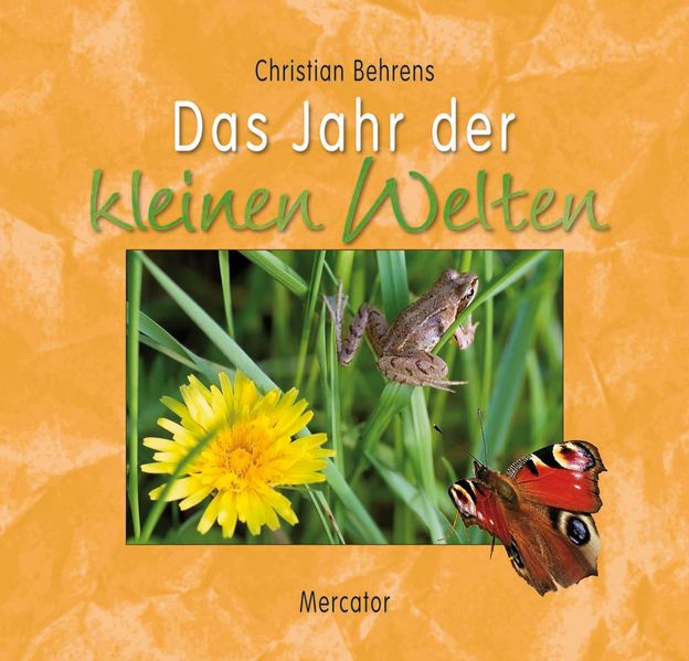 Cover von Das Jahr der kleinen Welten