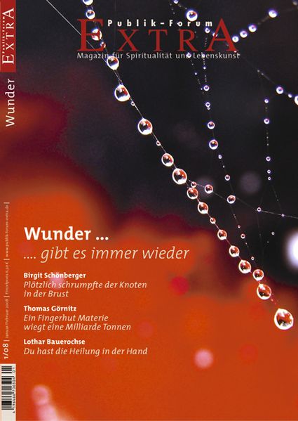 Cover von Wunder… gibt es immer wieder
