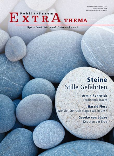 Cover von Steine – Stille Gefährten