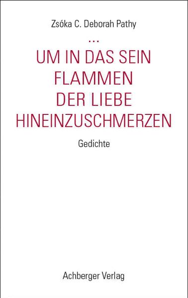 Cover von … um in das Sein Flammen der Liebe hineinzuschmerzen