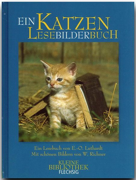 Cover von Katzen LeseBilderBuch