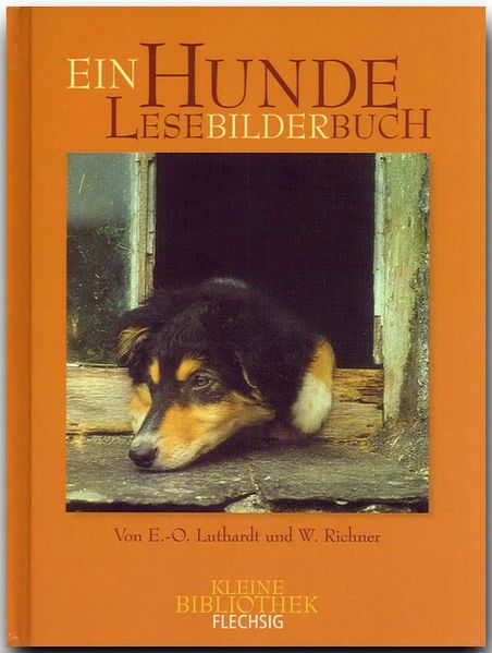 Cover von Hunde LeseBilderBuch