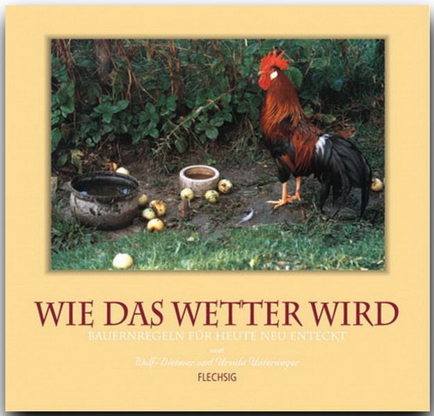 Cover von Wie das Wetter wird