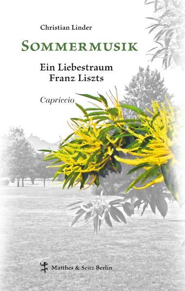 Cover von Sommermusik