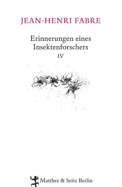 Cover von Erinnerungen eines Insektenforschers IV