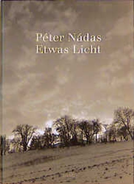Cover von Etwas Licht