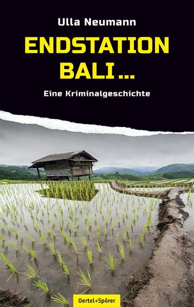 Cover von Endstation Bali…