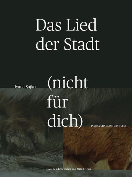 Cover von Das Lied der Stadt (nicht für dich)