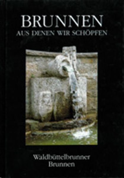 Cover von Brunnen aus denen wir schöpfen
