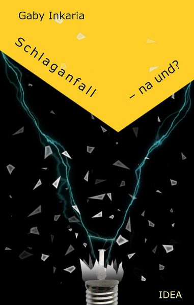Cover von Schlaganfall – na und?