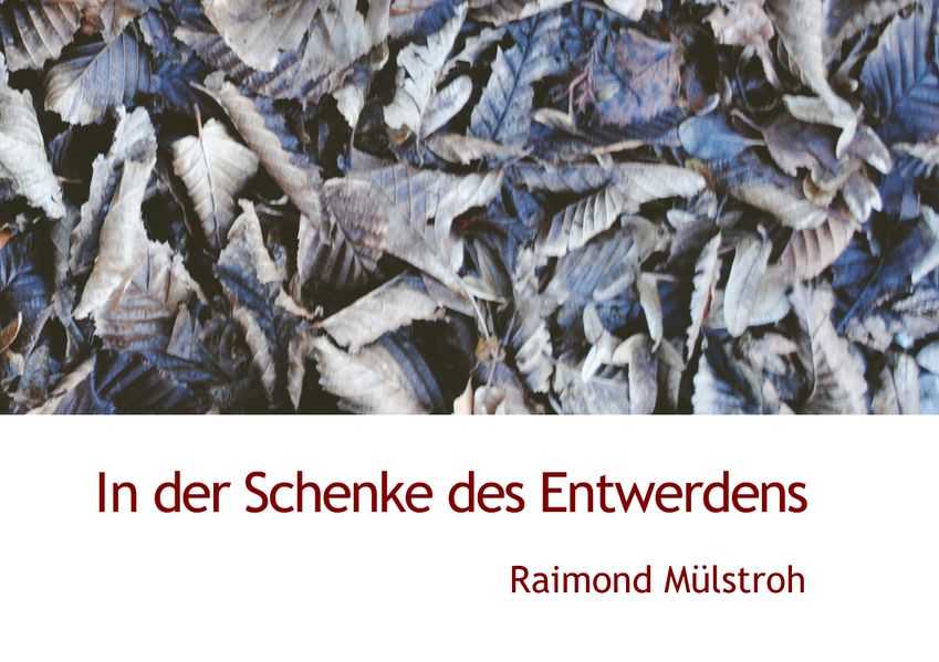 Cover von In der Schenke des Entwerdens