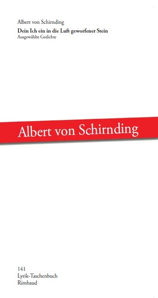 Cover von Dein Ich ein in die Luft geworfener Stein