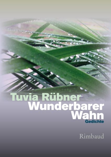 Cover von Wunderbarer Wahn