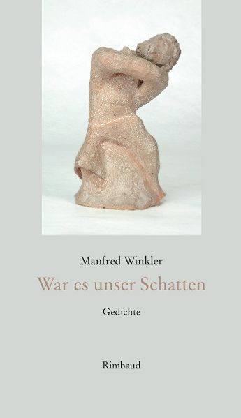 Cover von War es unser Schatten
