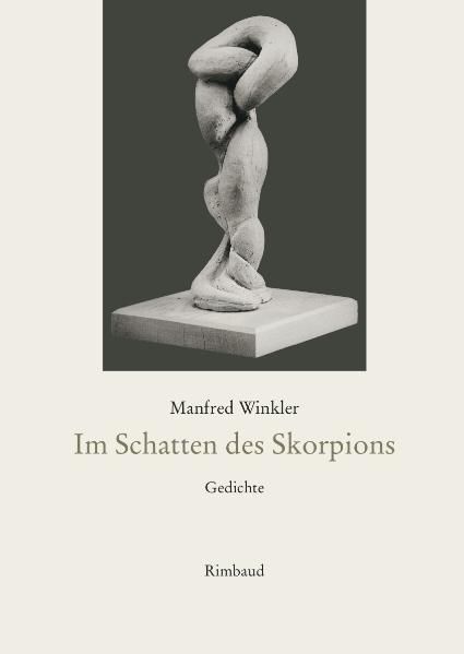 Cover von Im Schatten des Skorpions