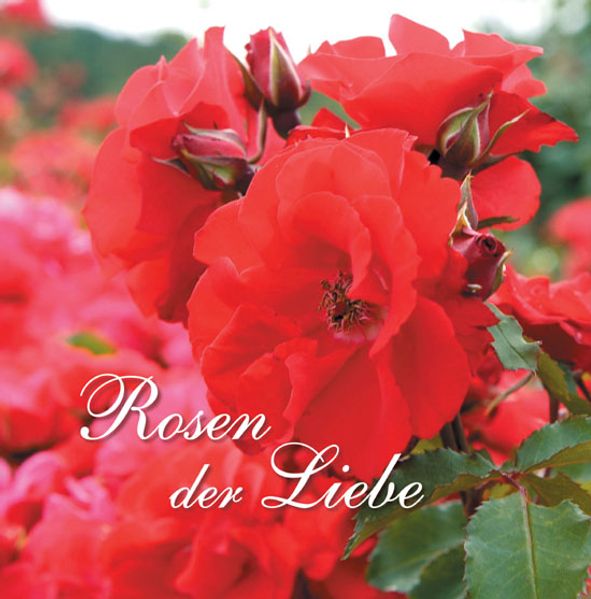 Cover von Rosen der Liebe