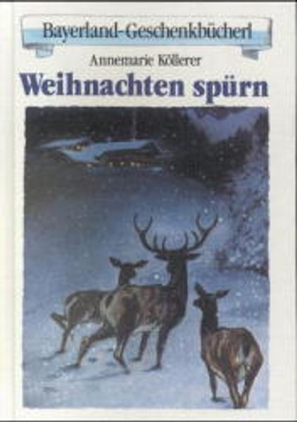 Cover von Weihnachten spürn