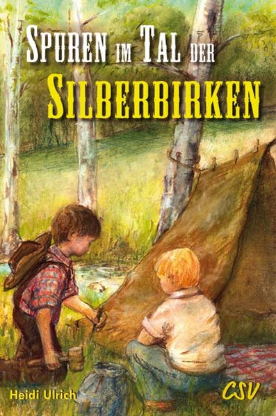Cover von Spuren im Tal der Silberbirken