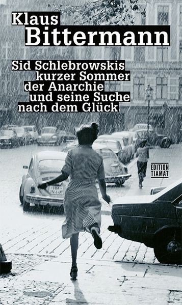 Cover von Sid Schlebrowskis kurzer Sommer der Anarchie und seine Suche nach dem Glück