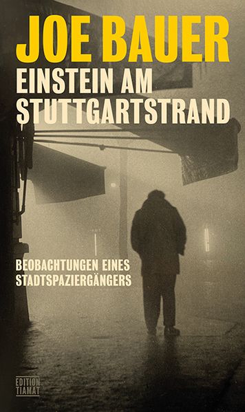 Cover von Einstein am Stuttgartstrand