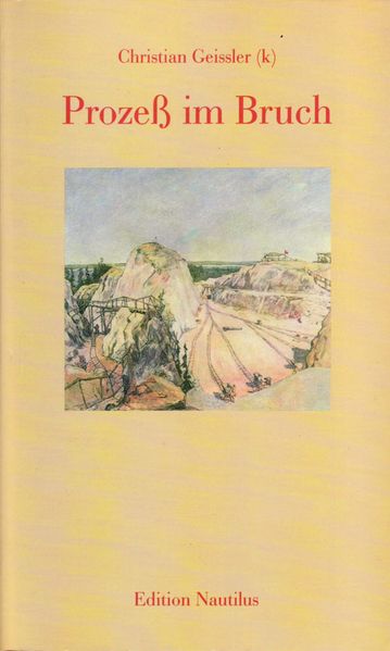 Cover von Prozess im Bruch