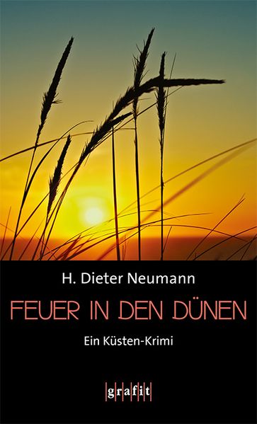 Cover von Feuer in den Dünen